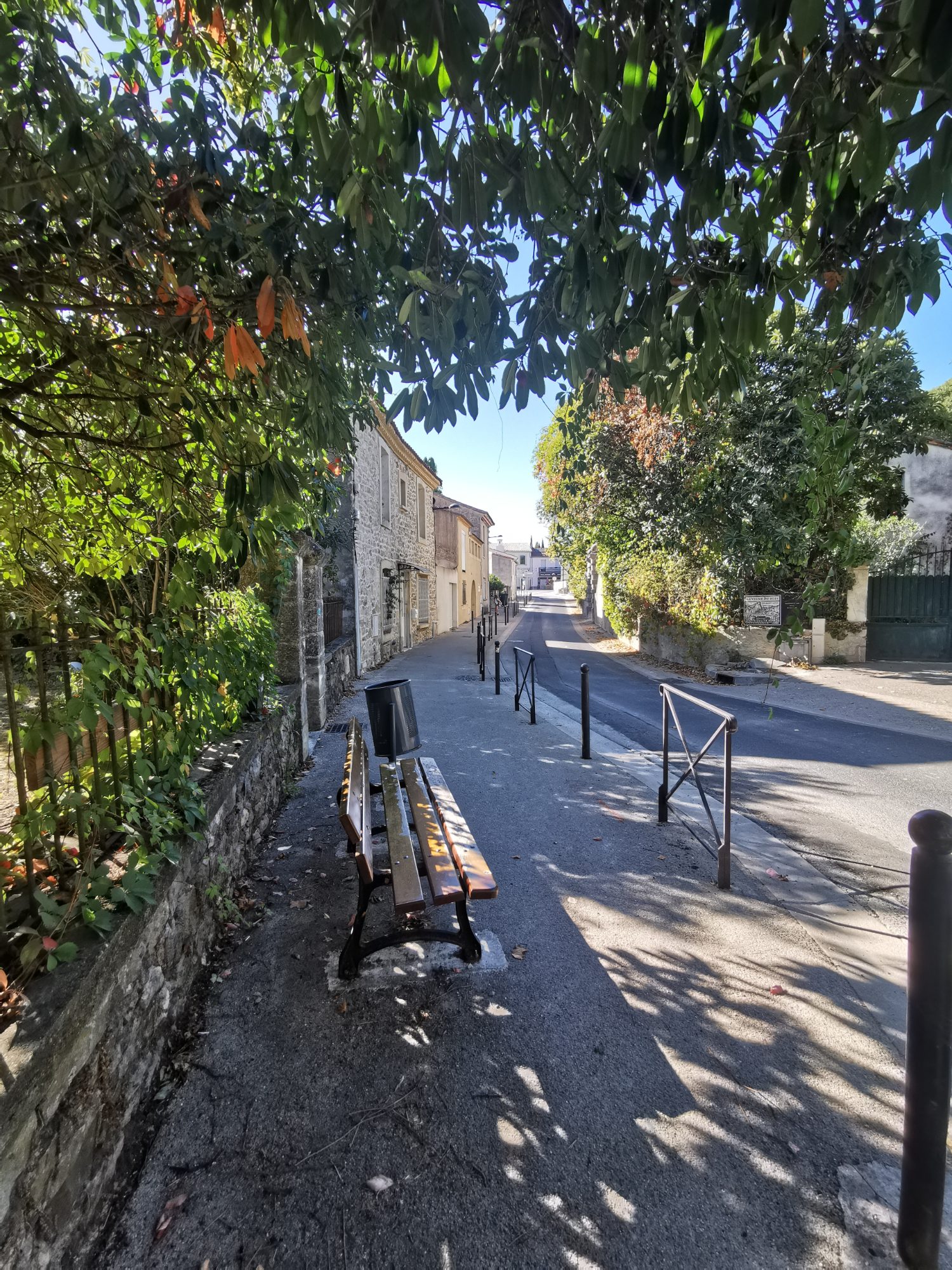 Banc du chemin de la grenouille